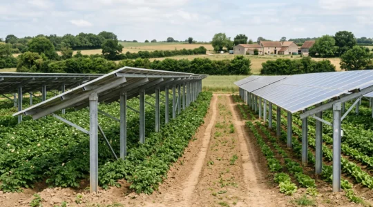 Parcelle agricole française équipée de panneaux photovoltaïques surélevés permettant la culture simultanée en dessous, installation agrivoltaïque en contexte rural
